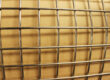 Welded Wire Mesh Rolls